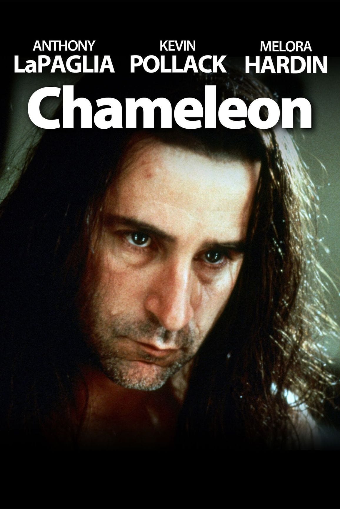 Постер Chameleon